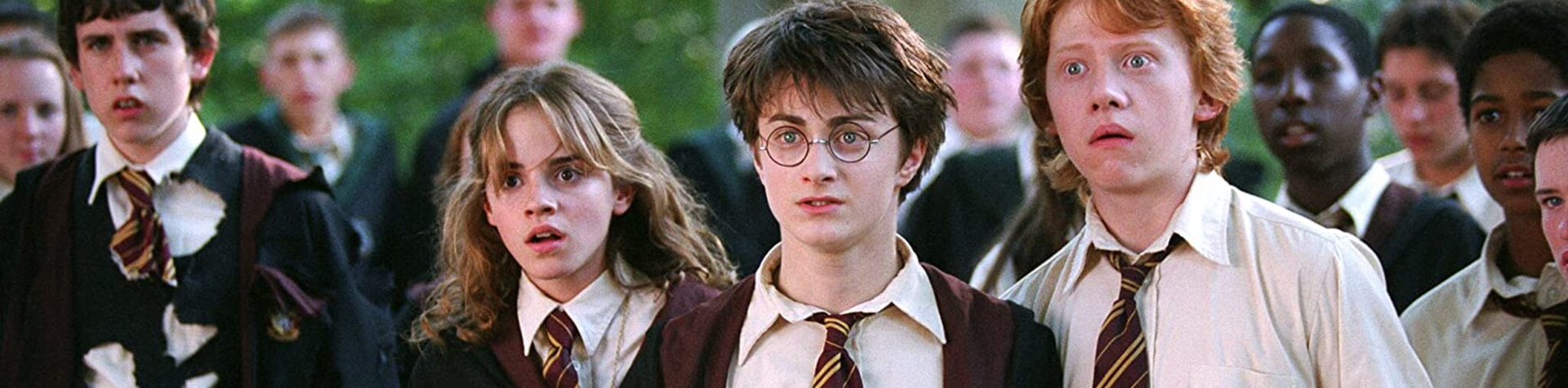 S03E30 – Harry Potter Special